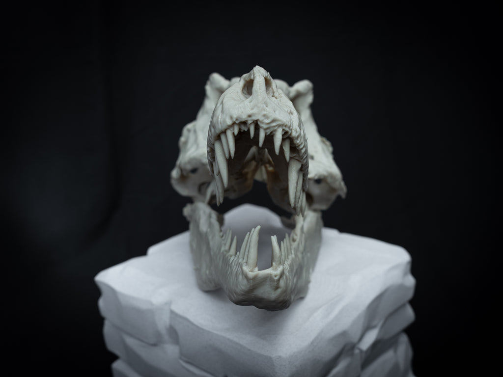 T-Rex Skull - Scaled 3D Print