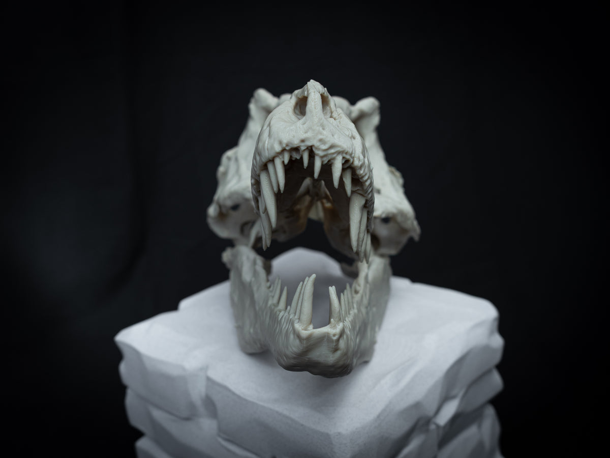T-Rex Skull - Scaled 3D Print