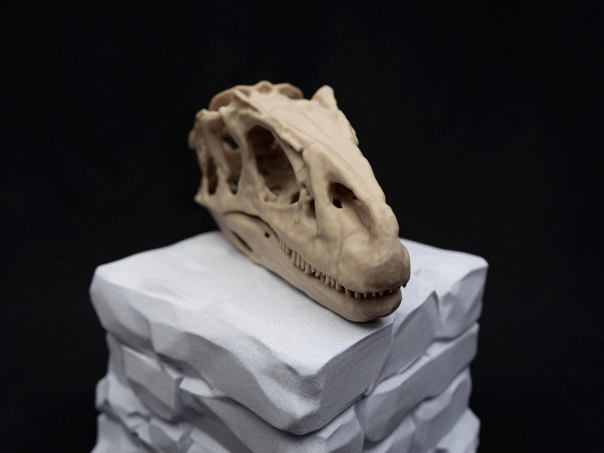 Allosaurus Skull Model | 3D Printed Dinosaur Model, Gothic Decor, Jurassic Fossi