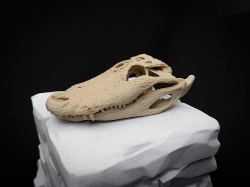 Scaled Alligator Skull Model | Gothic Decor Oddities and Curiosities | 3D Printe