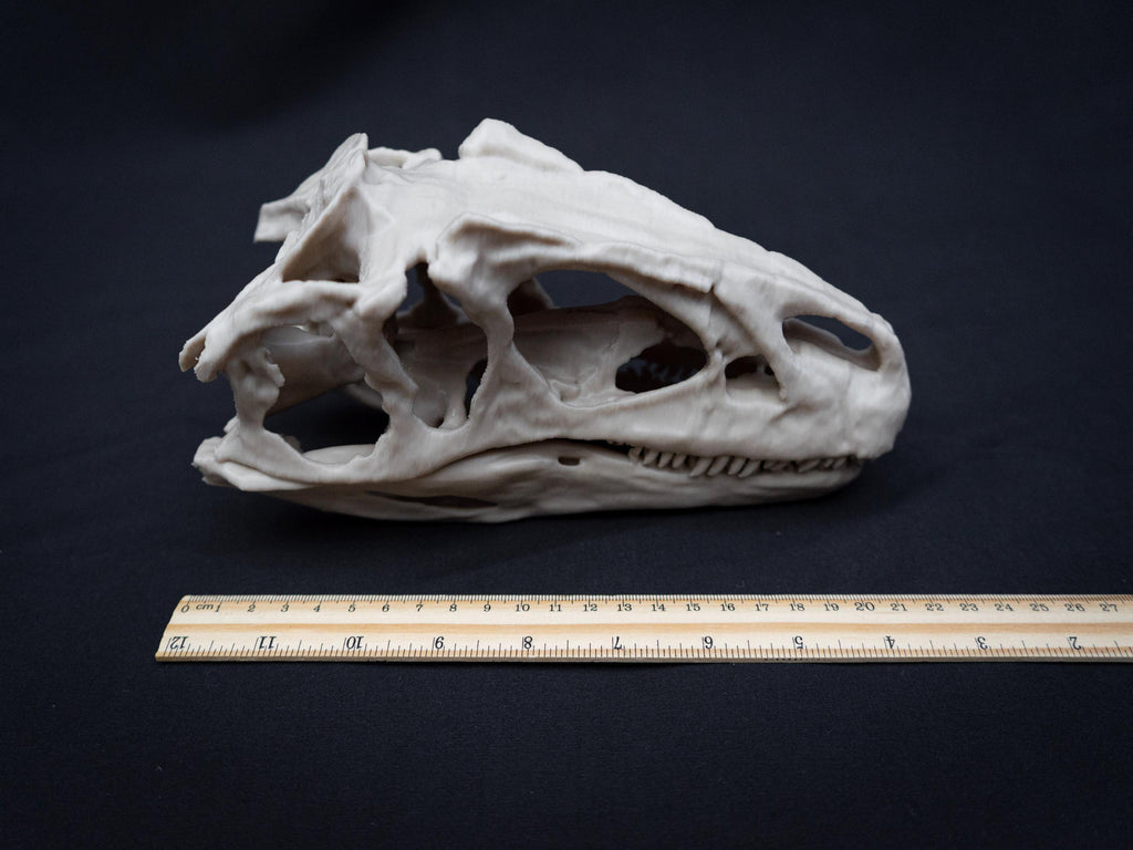 Allosaurus Skull Model | 3D Printed Dinosaur Model, Gothic Decor, Jurassic Fossi