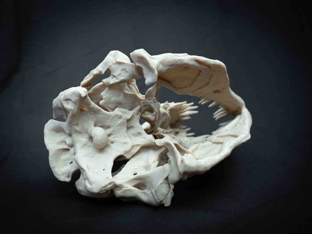 T-Rex Skull - Scaled 3D Print