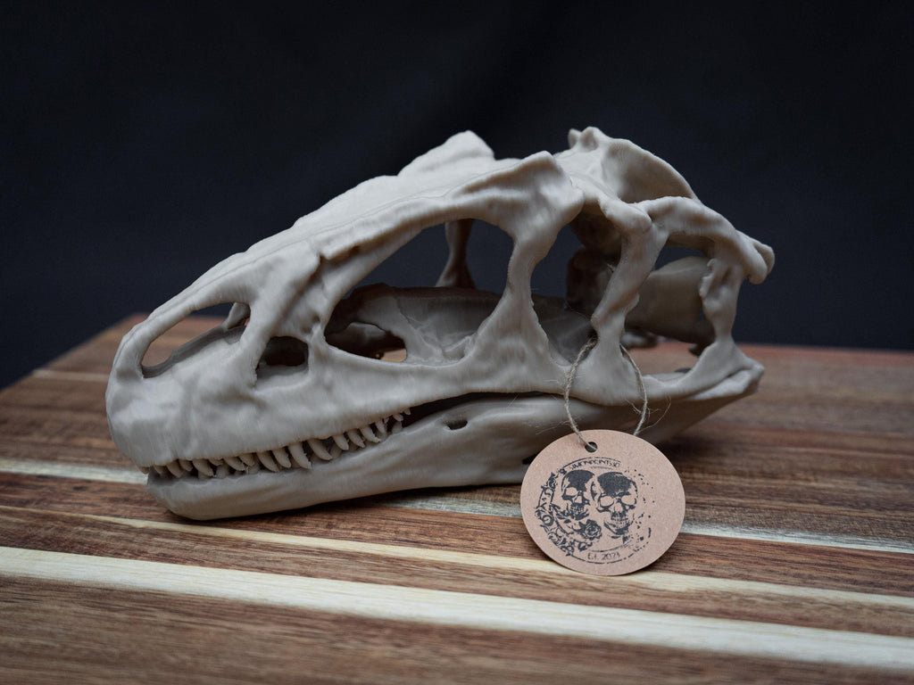 Allosaurus Skull Model | 3D Printed Dinosaur Model, Gothic Decor, Jurassic Fossi