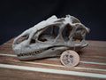 Allosaurus Skull Model | 3D Printed Dinosaur Model, Gothic Decor, Jurassic Fossi