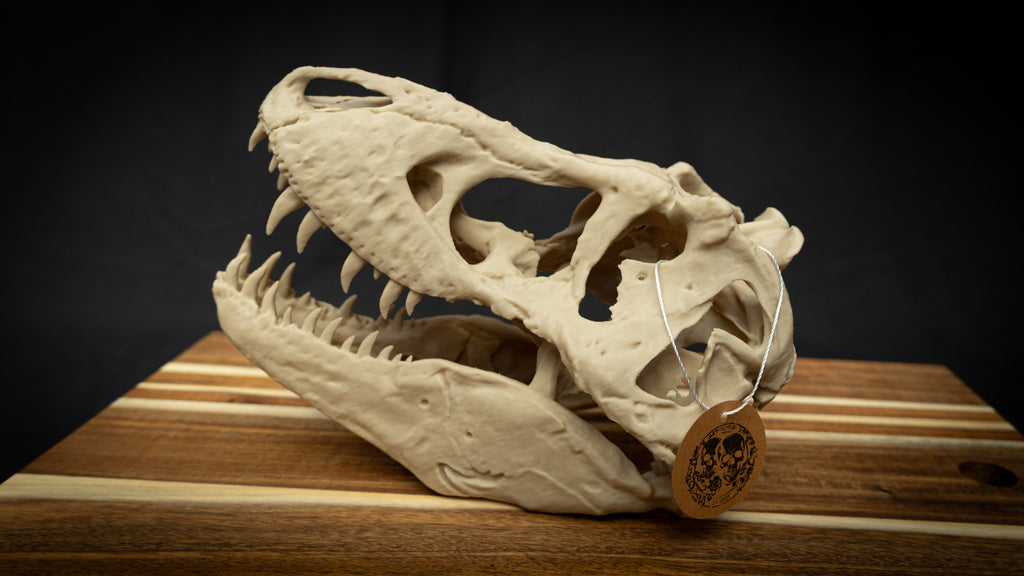 T-Rex Skull - Scaled 3D Print