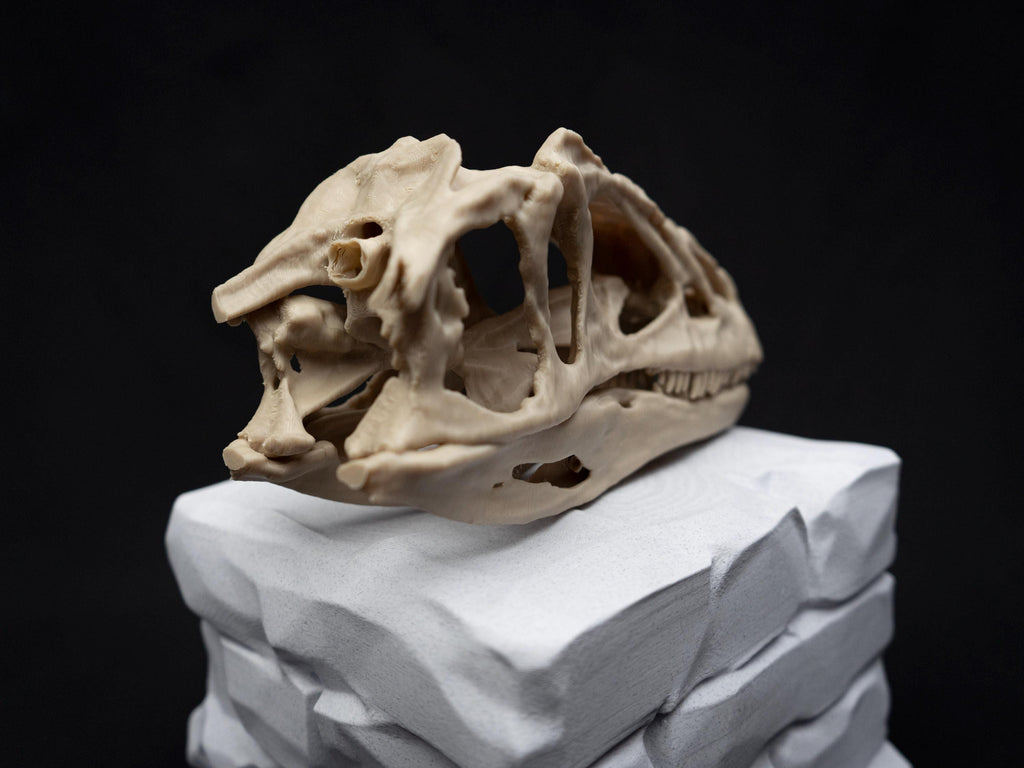 Allosaurus Skull Model | 3D Printed Dinosaur Model, Gothic Decor, Jurassic Fossi