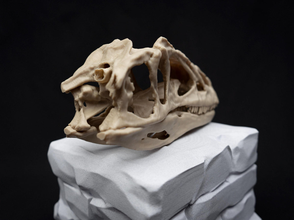 Allosaurus Skull Model | 3D Printed Dinosaur Model, Gothic Decor, Jurassic Fossi