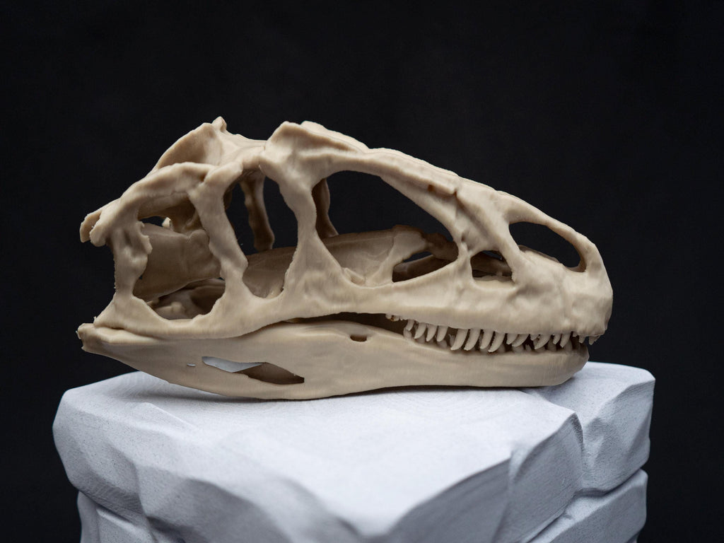 Allosaurus Skull Model | 3D Printed Dinosaur Model, Gothic Decor, Jurassic Fossi