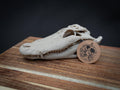 Scaled Alligator Skull Model | Gothic Decor Oddities and Curiosities | 3D Printe